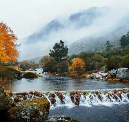 T2 Serra Shopping * 코빌라