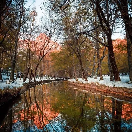 Διαμέρισμα T2 Serra Shopping *