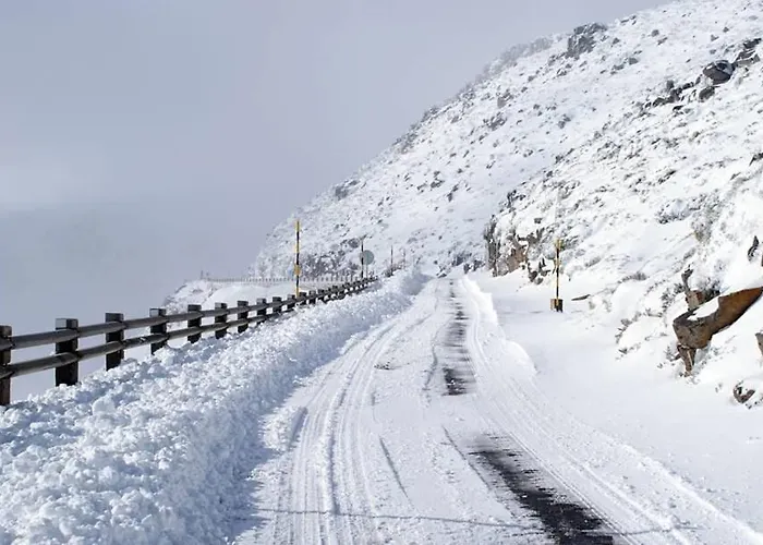 T2 Serra Shopping Ковильян