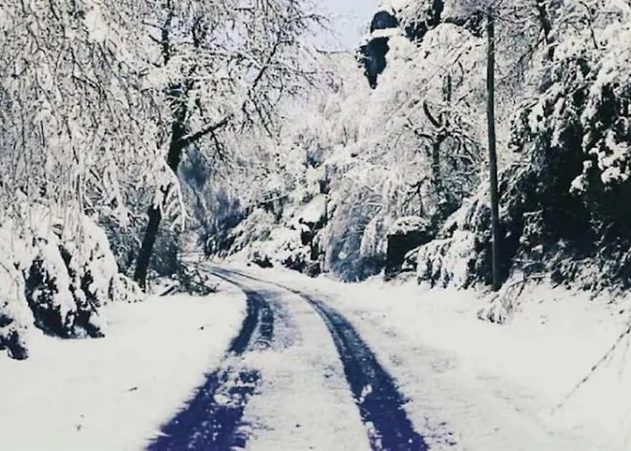 T2 Serra Shopping Ковильян